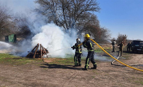 Из-за человеческой оплошности страдают гектары земли