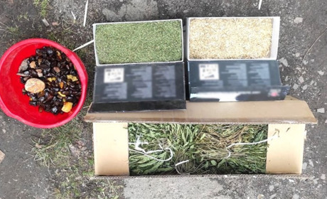 Конопля, мак і бурштин: у жителя Сарненщини обшукали гараж