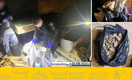 Дубровицькі поліцейські в рафалівчанина знайшли бурштину на пів мільйона гривень