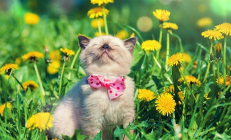 Що готує погода для жителів Білопільщини: прогноз на наступний тиждень