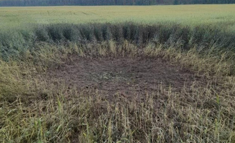 За минулу добу ворог обстріляв прикордонну громаду на Чернігівщині з мінометів та РСЗВ