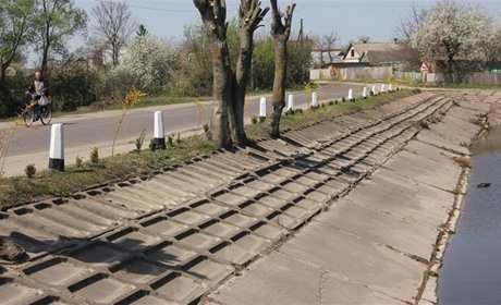  Двісті декоративних рослин та кущів висадили у Павлівці
