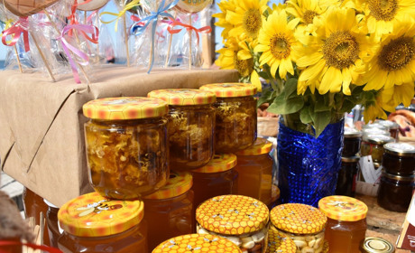 Родина Васильєвих зі Сватового взяла участь у фермерському фестивалі Local Farmer Fest у Бердянську