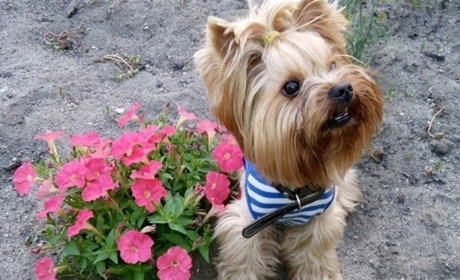 Робочий тиждень почнеться невеликим дощиком. Якої погоди очікувати жителям Білопільщини?