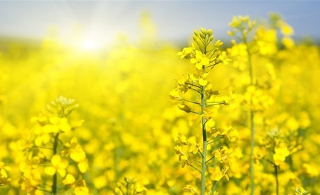 Погода в июле: когда заливало, а когда была засуха