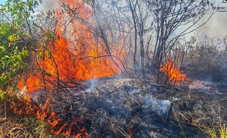 Рятувальники Черкащини 14 разів виїжджали на ліквідації пожеж на відкритих територіях