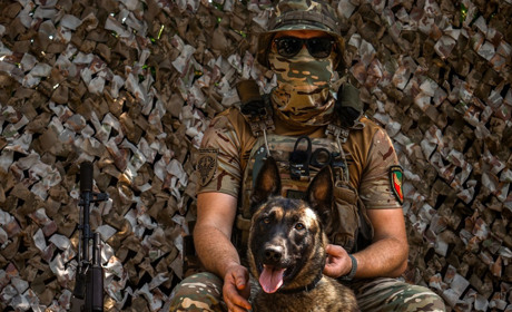 Знищено склади боєкомплектів, автомобілі та пошкоджено гармату. Поблизу Кремінної працює "Помста"