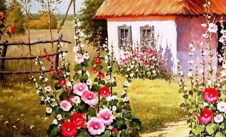 Квіткові пазли: збираємо мальви