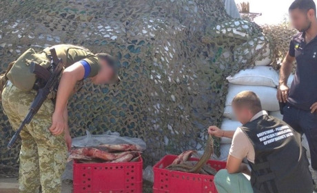 Измаильские пограничники поймали браконьера с краснокнижной рыбой почти на три миллиона гривен