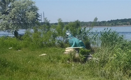 Рівень води в Дніпрі біля Нової Каховки впав