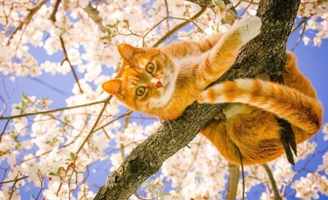 Потепління вже на порозі: прогноз погоди на Сумщині та в Україні