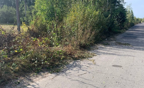 На Сарненщині троє хлопців напідпитку впали з мотоцикла