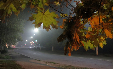 Словно ёжики в тумане: мелитопольцы делятся в соцсетях снимками города во мгле