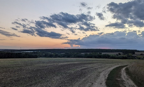 Початок наступного тижня на Сумщині буде без опадів: прогноз погоди