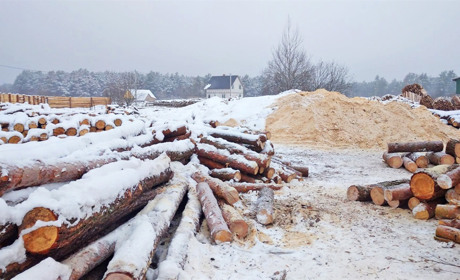 Нелегальні пилорами отримали штрафів на пів мільйона гривень, а лісокради – понад 500 протоколів