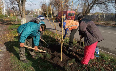 В Попасной продолжают работы по озеленению города