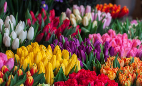 Святкові букети з доставкою по Троїцькому – наші найкращі пропозиції