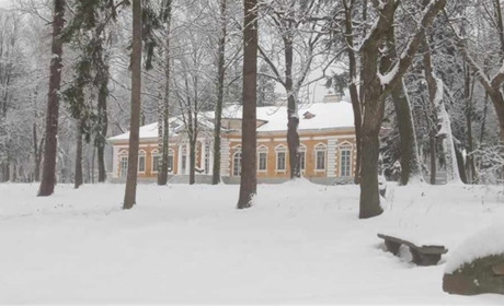 Старовинний палац у Самчиках руйнується через грибок