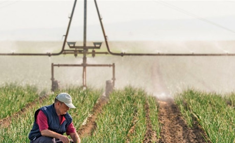 Аграріям Херсонщини дніпровської води вистачає