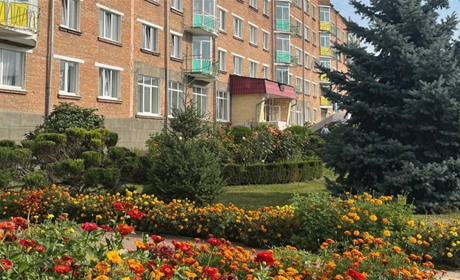 Погода у Барі 10–19 вересня: мінлива хмарність, без істотних опадів