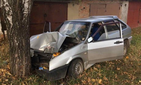У Шостці у гаражному кооперативі водій в'їхав у березу