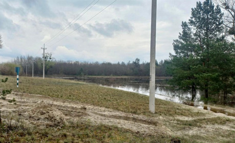 На Черкащині затопило понад 2 тисячі гектарів лісів, є загроза загибелі дерев
