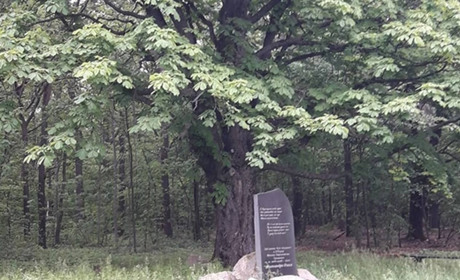 О, Верхосулля, люба мрія!