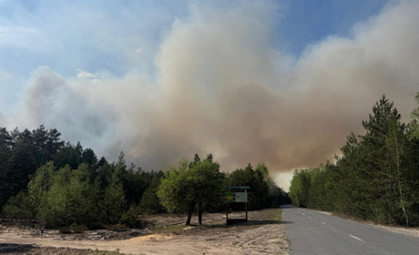 На Сарненщині приборкали пожежу в лісі, яка дісталася заповідника