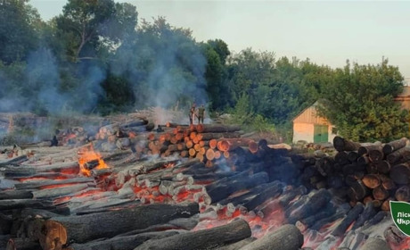 Внаслідок атаки дронами загорілась лісопродукція у Шосткинському районі