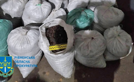 Перевозив бурштин на 1,7 млн гривень: у Сарнах судитимуть чоловіка