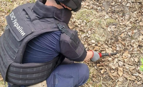 На Звягельщині знешкодили артснаряд, які знайшли поблизу с. Колодянка