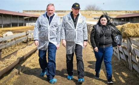 Зрадник Сальдо розмріявся про виробництво молока в Асканії-Новій