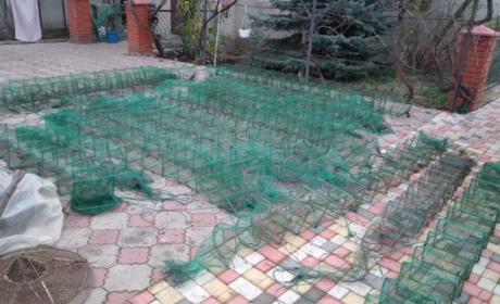 Незаконний вилов риби, раків на Турунчуку та розпалений вогонь: інспектори зафіксували порушення