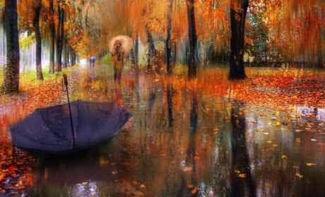 Найближчими днями на Сумщину прийдуть тумани і дощі: прогноз погоди на 19-21 жовтня