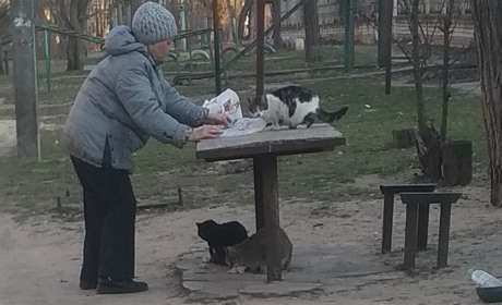 Що буде з пенсіями в травні