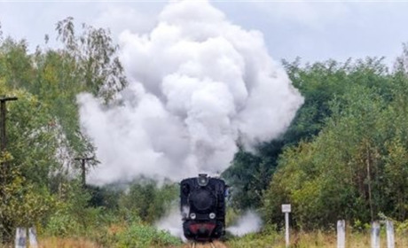 Оперативна інформація по коронавірусу у Володимирецькому районі: хворих немає, 350 на самоізоляції 