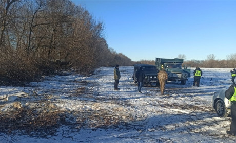 У Товсті затримали чергових лісорубів