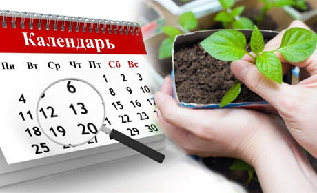Місячний посівний календар на травень 2023 року