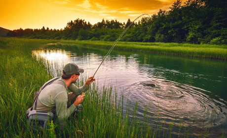 Яку рибу ловити у червні та в які дні