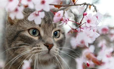 В четвер на Сумщині синоптики прогнозують до +28, а в суботу - дощ. Прогноз погоди на найближчі дні