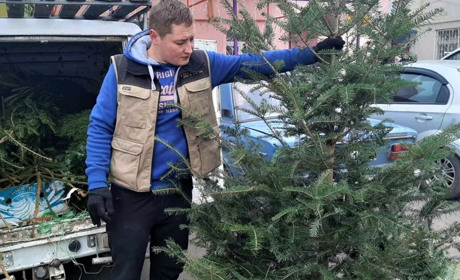 Виконком: у Біляївці в лікарні з’явились нові платні послуги. Визначили місця торгівлі ялинками