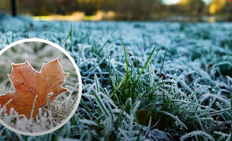 Заморозки на ґрунті до -2°C та арктичне повітря: на Житомирщину прийде різке похолодання
