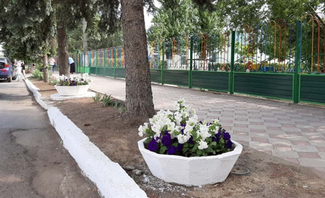 Кому не подобаються квіти біля дитсадка "Веселка": ви могли їх бачити