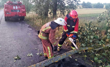 Поблизу Рафалівки на дорогу впало дерево
