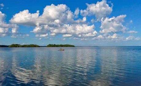 На вихідні в Україні у розпалі бабино літо