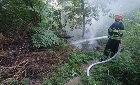 Спекотна та гаряча неділя. Чергова пожежа у Городку
