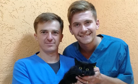 У Корюківці стерилізовано 30 безпритульних котів і собак, пройшли обробку — 65 тварин. Далі буде