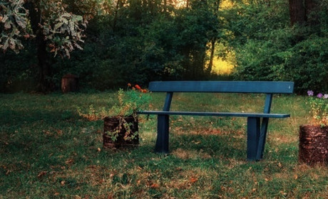 На Одещині фіксують високий вміст формальдегіду у повітрі: які причини, і що з цим робити