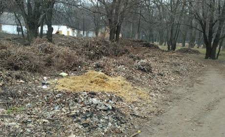 Где в Мелитополе появится японский сад, а также когда освободят от мусора «пустырь»