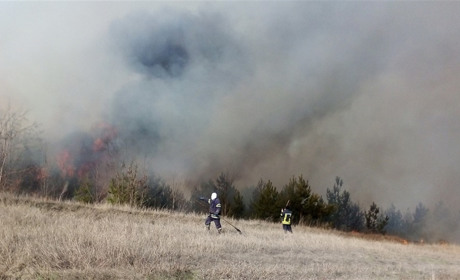 У Демівщині Кагарлицького району горіло 5 гектарів трави та лісу